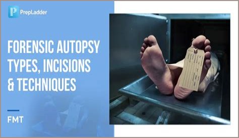 Autopsy Stitches Head: New Concerns Spark Debate
