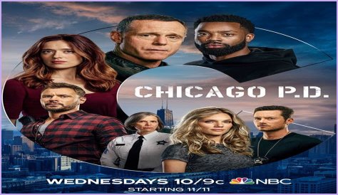Chicago P.D. Cast Member Dies In Real Life: A Tribute To Their Legacy