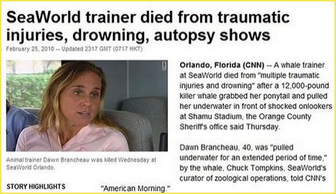 Dawn Brancheau Autopsy: New Details Emerge, Years After Tragedy