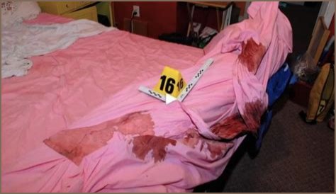 Dee Dee Blanchard Autopsy: New Details Emerge in Gypsy Rose Case