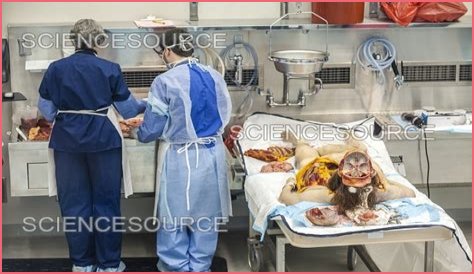 Forensics Autopsy Reveals New Clues in Cold Case Mystery