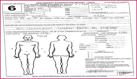 Gigi's Autopsy Report Leaked? Unraveling the Online Search Surge