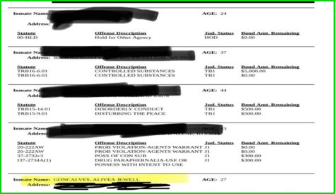 Idaho Murders: Autopsy Reports PDF Leaked? What the Docs Reveal