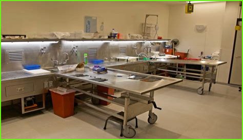 Peter Wang Autopsy: Hero's Sacrifice, Lingering Questions