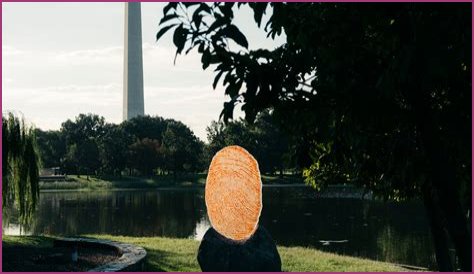 Photo Autopsy: Uncovering Truths Hidden in Plain Sight?