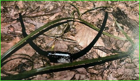 Rachel Morin Autopsy: New Details Emerge, Sparking Further Questions