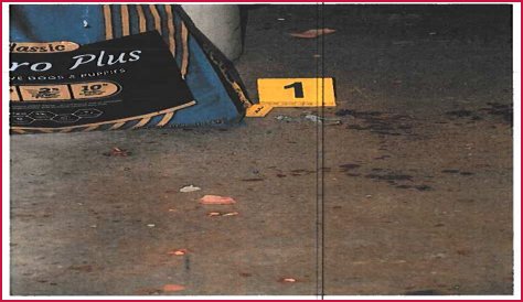 West Memphis 3 Autopsy: New Scars, Old Wounds Reopened?